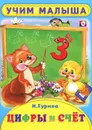 Цифры и счет - И. Гурина