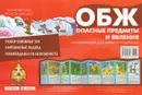 ОБЖ. Опасные предметы и явления. Тематический уголок для ДОУ - В. А. Шипунова