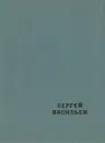 Проза про поэзию - Сергей Васильев