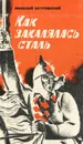 Как закалялась сталь - Николай Островский