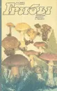 Грибы. Справочник миколога и грибника - И. А. Дудка, С. П. Вассер