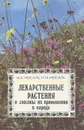 Лекарственные растения и способы их применения в народе - М. А. Носаль, И. М. Носаль