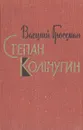 Степан Кольчугин. Книга 1 - Василий Гроссман