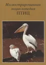 Иллюстрированная энциклопедия птиц - Я. Ганзак
