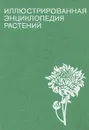 Иллюстрированная энциклопедия растений - Ф. А. Новак