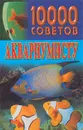 10000 советов аквариумисту - Н. В. Белов
