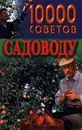 10000 советов садоводу - Н. В. Белов