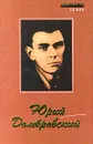 Юрий Домбровский. Роман, письма, эссе - Юрий Домбровский