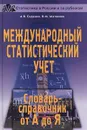 Международный статистический учет. Словарь-справочник от А до Я - А. В. Сиденко, В. М. Матвеева