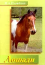 Лошади - В. А. Парфенов