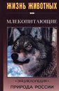 Млекопитающие. Часть 1 - И. Я. Павлинов