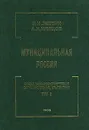 Муниципальная Россия. Социально-экономическая ситуация, право, статистика. Том 2 - В. Н. Лексин, А. Н. Швецов
