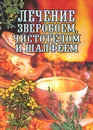 Лечение зверобоем, чистотелом и шалфеем - Илья Рощин