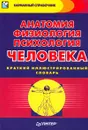 Анатомия, физиология, психология человека. Краткий иллюстрированный словарь - Андреева Надежда Геннадиевна, Виноградова Екатерина Павловна