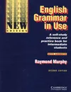 English Grammar in Use - Raymond Murphy