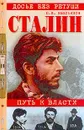 Сталин. Путь к власти - Ю. В. Емельянов