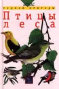Птицы леса - Е. Т. Бровкина, В. И. Сивоглазов