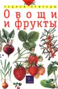 Овощи и фрукты - Т. А. Козлова, В. И. Сивоглазов