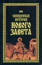 Священная история Нового Завета - Протоиерей Михаил Богословский