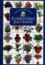 Комнатные растения. Определитель - Титова Ксения Дмитриевна