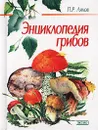 Энциклопедия грибов - П. Р. Ляхов