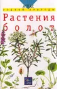 Растения болот - М. А. Гуленкова, М. Н. Сергеева