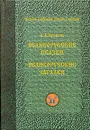 Великорусские сказки. Великорусские загадки. Том 6 - И. А. Худяков