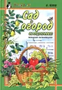 Сад и огород на подоконнике - Е. Попов