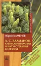 А. С. Залманов. Капилляротерапия и натуротерапия болезней - Каменев Юрий Яковлевич