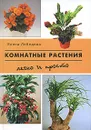 Комнатные растения - Елена Лебедева