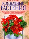 Комнатные растения. Подробные описания. Советы и методика по уходу за растениями. Уникальные таблицы - экспресс-информация о растениях. Советы самых известных в России цветоводов - В. В. Чуб , К. Д. Лезина