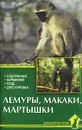 Лемуры, макаки, мартышки. Содержание, кормление, уход, дрессировка - А. И. Рахманов