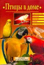 Птицы в доме - Непомнящий Н.Н.