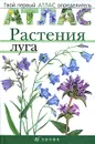 Растения луга - Т. А. Козлова, В. И. Сивоглазов