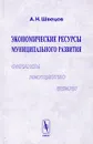 Экономические ресурсы муниципального развития. Финансы, имущество, земля - А. Н. Швецов