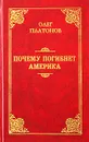 Почему погибнет Америка - Олег Платонов
