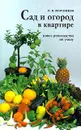 Сад и огород в квартире - В. В. Воронцов