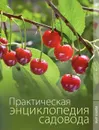 Практическая энциклопедия садовода - О. В. Яковлева