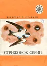 Стрижонок Скрип - Виктор Астафьев