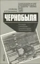 Репортаж из Чернобыля - Иллеш Андрей Владимирович, Пральников Андрей Евгеньевич