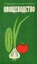 Овощеводство - Н. П. Родников, И. А. Курюков, Н. А. Смирнов