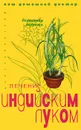 Лечение индийским луком - Екатерина Андреева