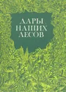 Дары наших лесов - Василий Саутин,Валентина Фомина,Зоя Валова