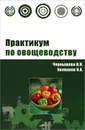 Практикум по овощеводству - Н. Н. Чернышева, Н. А. Колпаков