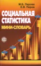 Социальная статистика. Мини-словарь - М. Б. Перова, Е. В. Перов