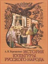 История культуры русского народа - Терещенко Александр Власьевич