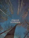 Сергей Есенин. Стихотворения и поэмы - Есенин Сергей Александрович