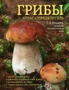 Грибы. Атлас-определитель - Ильина Татьяна Александровна