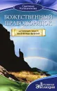 Божественный правопорядок. Истинный смысл жизненных явлений - Светлана Калашникова