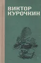 Виктор Курочкин. Повести. Рассказы - Виктор Курочкин